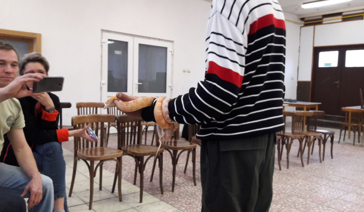 7. fotografia fotogalérie Výstava hadov a plazov 13.10.2017