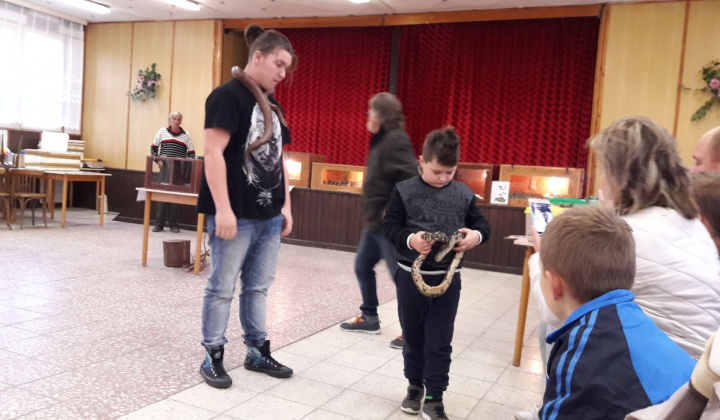 10. fotografia fotogalérie Výstava hadov a plazov 13.10.2017