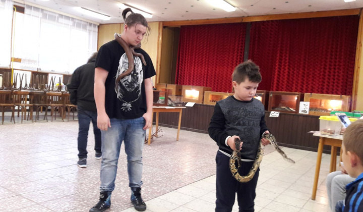 11. fotografia fotogalérie Výstava hadov a plazov 13.10.2017