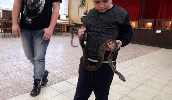 12. fotografia fotogalérie Výstava hadov a plazov 13.10.2017