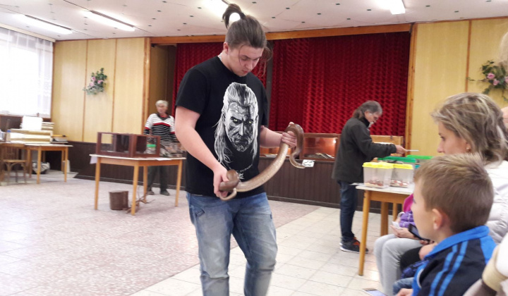 15. fotografia fotogalérie Výstava hadov a plazov 13.10.2017