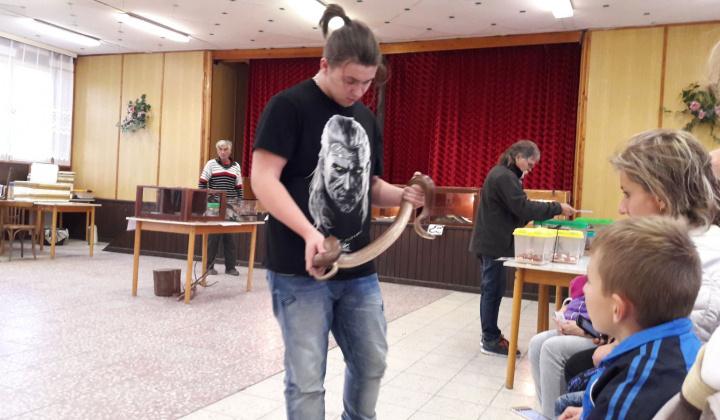 16. fotografia fotogalérie Výstava hadov a plazov 13.10.2017