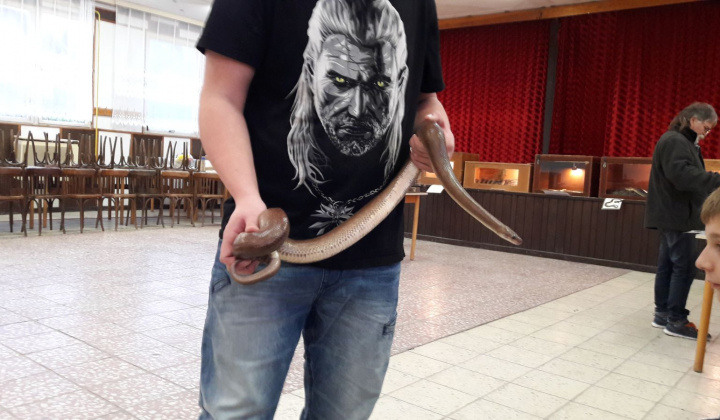 17. fotografia fotogalérie Výstava hadov a plazov 13.10.2017