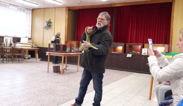 21. fotografia fotogalérie Výstava hadov a plazov 13.10.2017