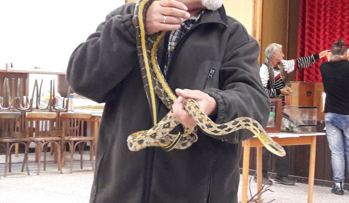 22. fotografia fotogalérie Výstava hadov a plazov 13.10.2017