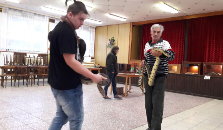 23. fotografia fotogalérie Výstava hadov a plazov 13.10.2017