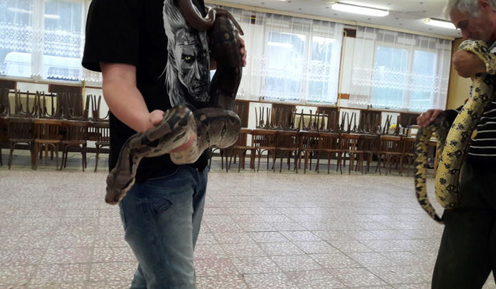 24. fotografia fotogalérie Výstava hadov a plazov 13.10.2017