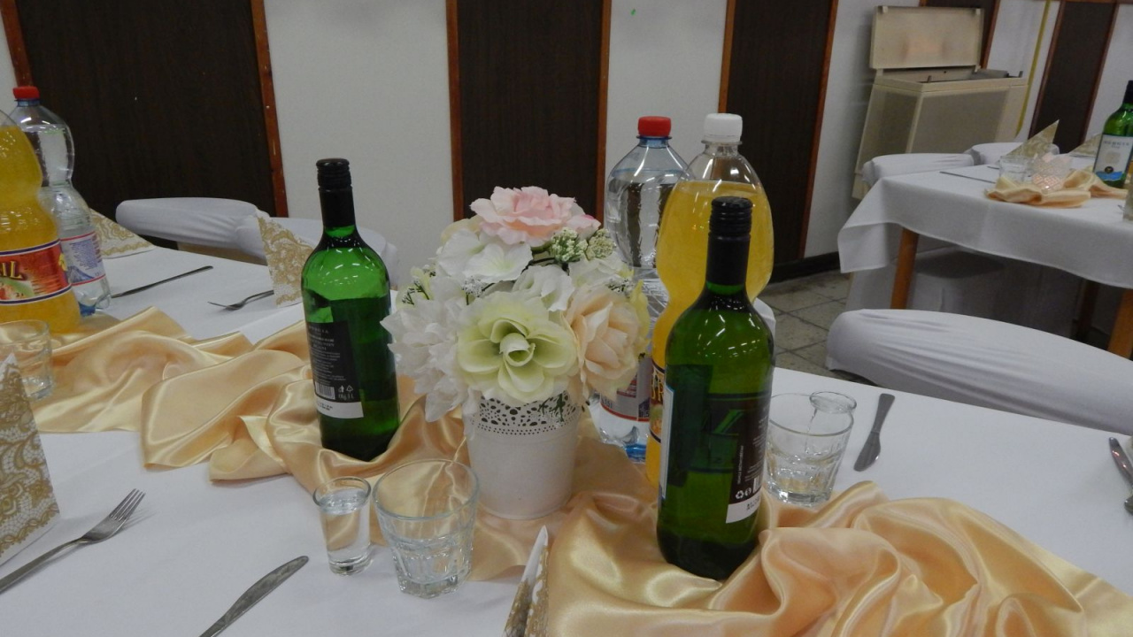 Fotografia fotogalérie Hasičský ples 14.1.2017