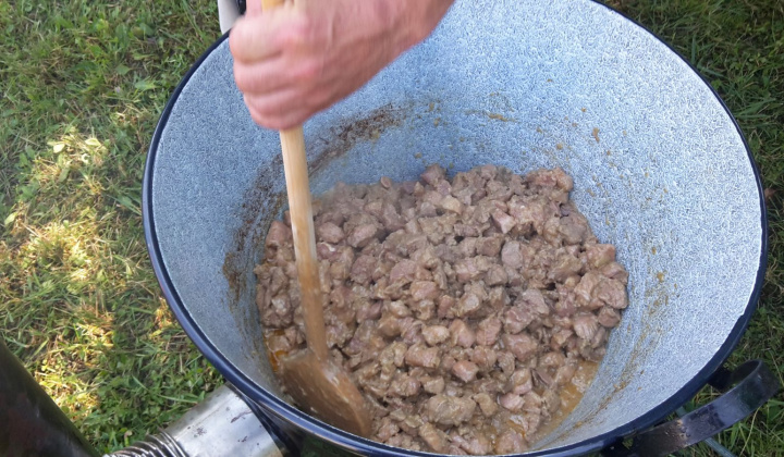 11. fotografia fotogalérie Deň Slanského mikroregiónu 2.7.2016