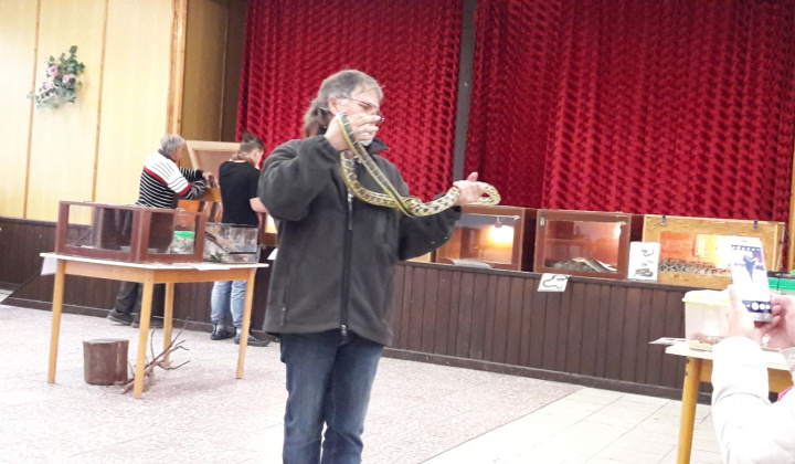 Výstava hadov a plazov 13.10.2017