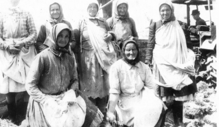 8. fotografia fotogalérie Historia 1