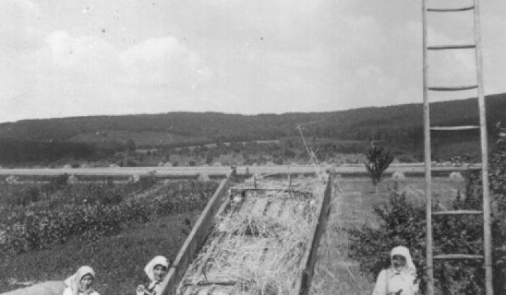 10. fotografia fotogalérie Historia 1